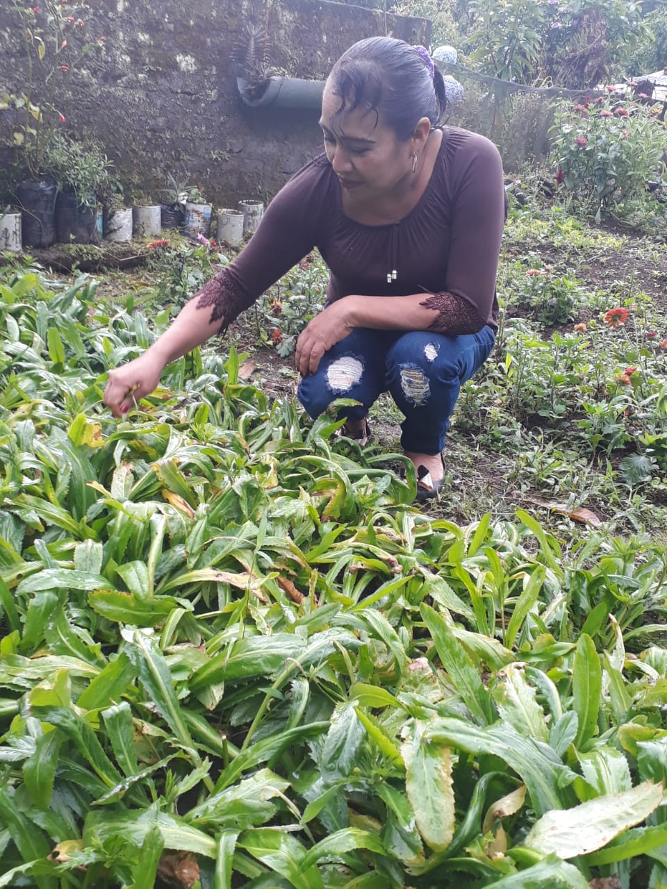 FINCA2